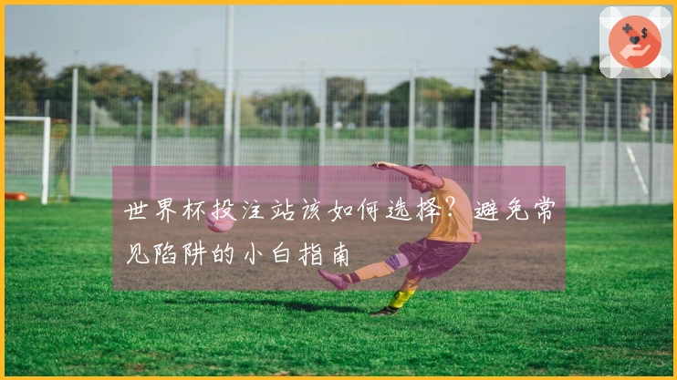 世界杯投注站该如何选择?避免常见陷阱的小白指南