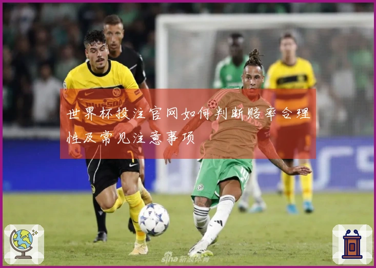 世界杯投注官网如何判断赔率合理性及常见注意事项