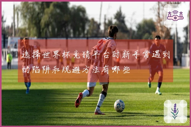 选择世界杯竞猜平台时新手常遇到的陷阱和规避方法有哪些