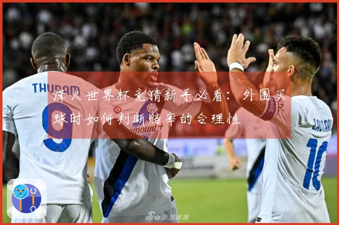 烽火世界杯竞猜新手必看：外围买球时如何判断赔率的合理性