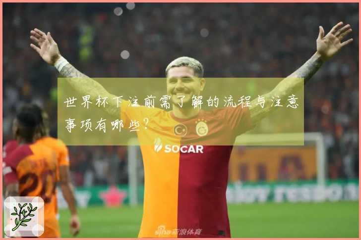 世界杯下注前需了解的流程与注意事项有哪些?