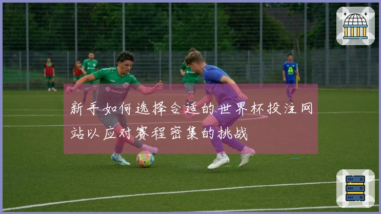 新手如何选择合适的世界杯投注网站以应对赛程密集的挑战