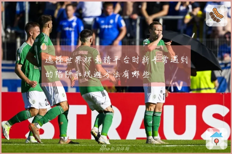 选择世界杯竞猜平台时新手常遇到的陷阱和规避方法有哪些