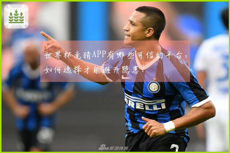 世界杯竞猜APP有哪些可信的平台，如何选择才能避开隐患？