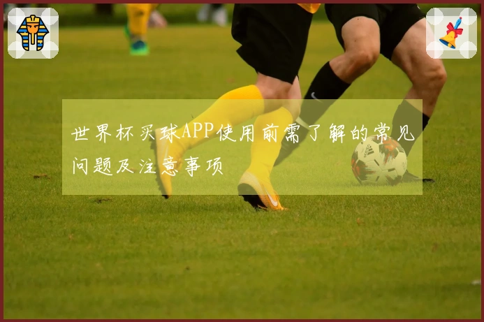 世界杯买球APP使用前需了解的常见问题及注意事项