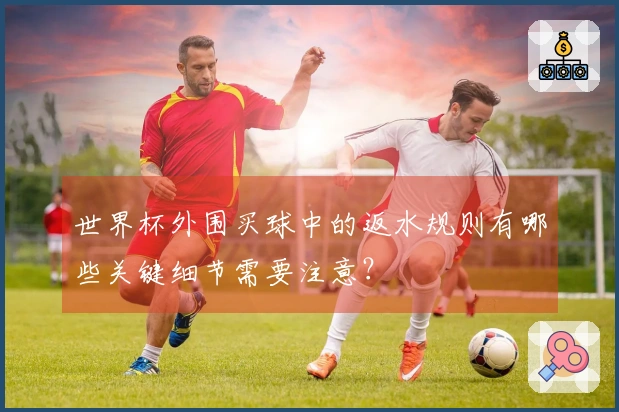 世界杯外围买球中的返水规则有哪些关键细节需要注意？