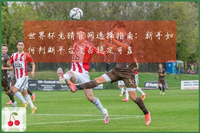 世界杯竞猜官网选择指南：新手如何判断平台是否稳定可靠